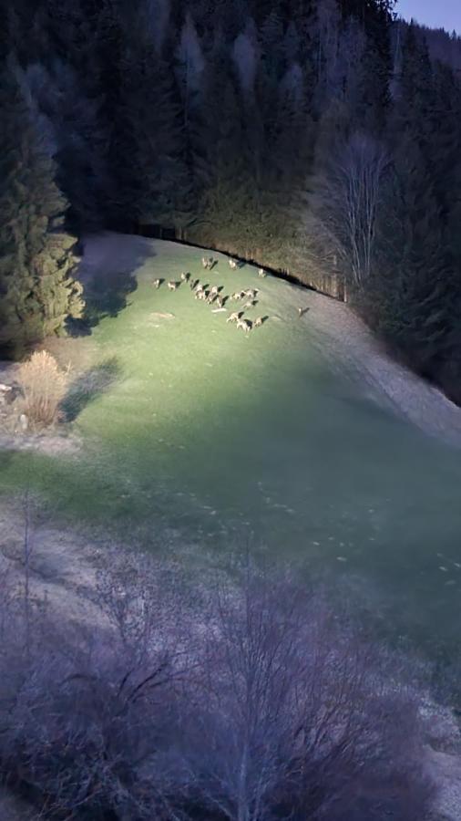 Ferienwohnungen Rabensteiner Bad Kleinkirchheim Luaran gambar