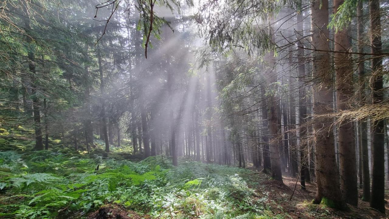 Ferienwohnungen Rabensteiner Bad Kleinkirchheim Luaran gambar