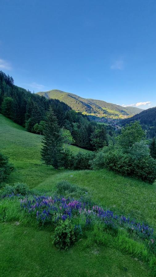 Ferienwohnungen Rabensteiner Bad Kleinkirchheim Luaran gambar